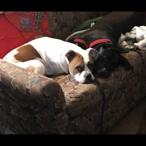 Meet your Posher, Trinity